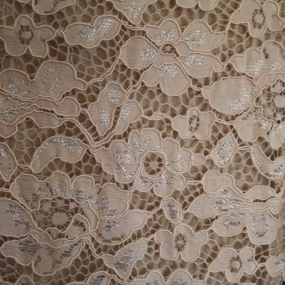 PERCEPTIONS New York Blush Nude Lace Sheath Dress - NWT! - Picture 11 of 16